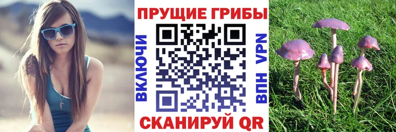 Псилоцибиновые грибы Magic Shrooms  mega как зайти  Бирюч  наркотики 